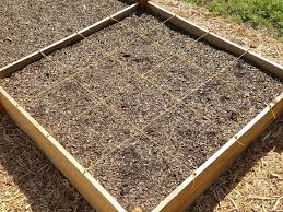 Making A Square Foot Garden Grid Vines