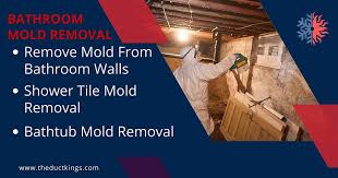 Shower And Bathroom Mold Removal