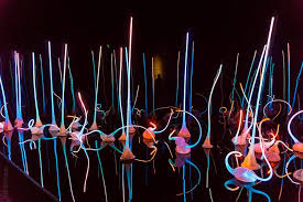 Chihuly Garden And Glass Photos