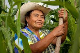 Relevo generacional femenino en ejidos y comunidades agrarias de México |  Sitquije