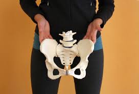 our best healthy pelvis resources