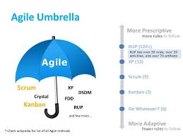 Agile Umbrella More Prescriptive More Rules To