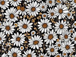 free images flowers daisies pattern