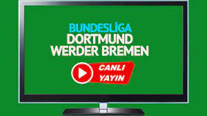 CANLI İZLE! Dortmund Werder Bremen şifresiz canlı maç izle ! Tivibu Spor  izle Bein Sports izle