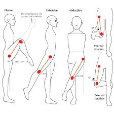 Range Of Motion After A Joint Replacement Milestones To Hit