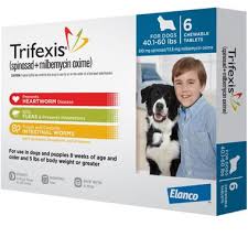 Trifexis For Dogs 40 1 60 Lbs 6 Chew Tabs