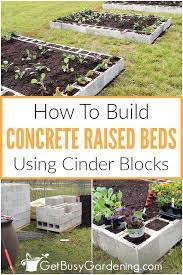 Build A Cinder Block Raised Garden Bed