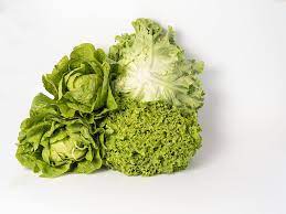 hd wallpaper lettuce varieties