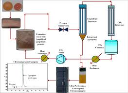 supercritical carbondioxide extraction