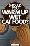 Should you warm up wet cat food?