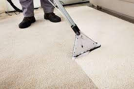 florida rug cleaning chris carpet
