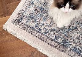 what are the best carpet for pets