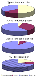 Ketogenic Diet Wikipedia