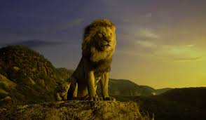 the lion king wallpaper desktop