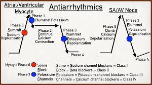 antiarrhythmic cl mnemonic