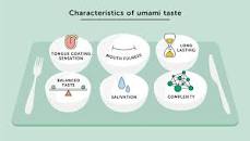 What is umami taste?