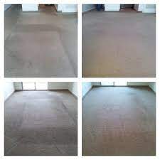 palmetto carpet tile cleaners reviews