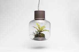 Image result for SELF-SUSTAINING ECOSYSTEM LETS YOU GROW PLANTS IN WINDOWLESS SPACES