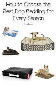 15 best dog beddings for all seasons