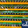 Story image for Cryptocurrencies from The Guardian