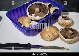 Alamy gambar png