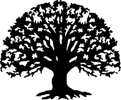 Family Tree Image Transparent Stock Png Rr Collections