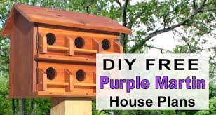 Purple Martin House Plans Free