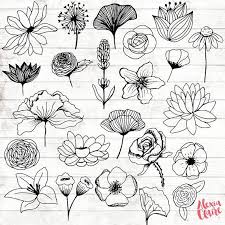 diffe sketches of flowers