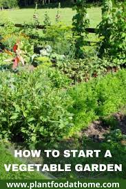 How much sun does a vegetable garden need? How To Start A Vegetable Garden A Beginners Guide
