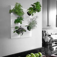 Vertical Gardens In Restaurants More