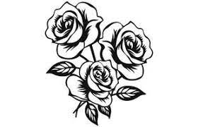 rose black and white vector art icons