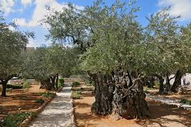 garden of gethsemane what to know