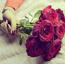 8 minutes ago last post: Flower Love Rose Flower Flowers Dp Beautiful Roses