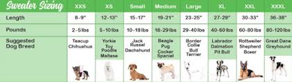 Chilly Dog Size Chart