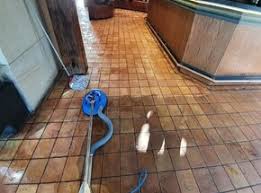 hawkes bay carpet cleaning services