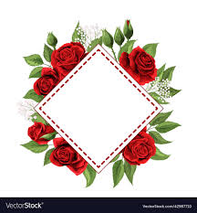 red rose flowers royalty free vector image