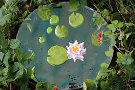 Diy Miniature Fairy Garden Pond Charms