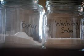 using borax boric acid to kill fleas