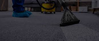 carpet cleaning service proaction