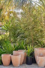 terra cotta pots and planters flora