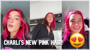 Charli d'amelio is the latest to make a big change to her hair! Charli D Amelio Hot Pink Hair 2020 Hair Photos News Videos And Gallery Just Jared Jr Page 2 Born And Raised In Norwalk Connecticut