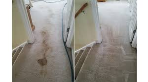 fiber fresh carpet cleaning