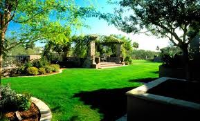 This green backyard appears like an oasis in the desert. Backyard Landscaping Phoenix Az Photo Gallery Landscaping Network