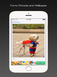 funny dog pictures and wallpaper app