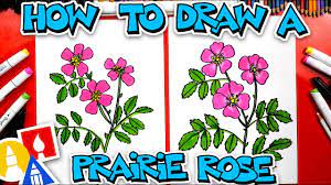 How do you draw a easy rose? How To Draw A Prairie Rose Flower Youtube