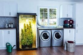 Building a grow room in a garage can be tricky due to the weather can spike temperatures changes in the space. Led Grow Light Grow Tent Hydroponic Grow Light Ledgrowshop