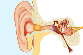 How to use otex ear drops. Everything About Tinnitus Types Causes Symptoms Prevention Treatments Latest Researches Quality Hearing Care Hearing Aid Clinic In Mumbai