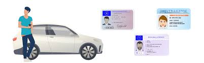 driver license translation dmv