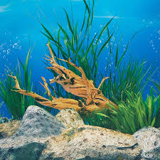 aquarium background paper hd picture 3d