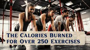 calories burned for over 250 exercises